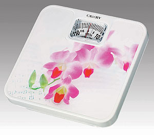 Mechanic Bathroom Scale